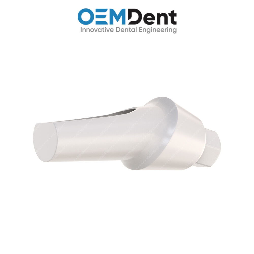 Peek Temporary Anatomic Angled Prosthetic 25° – Alfa Gate® Int Hex Compatible
