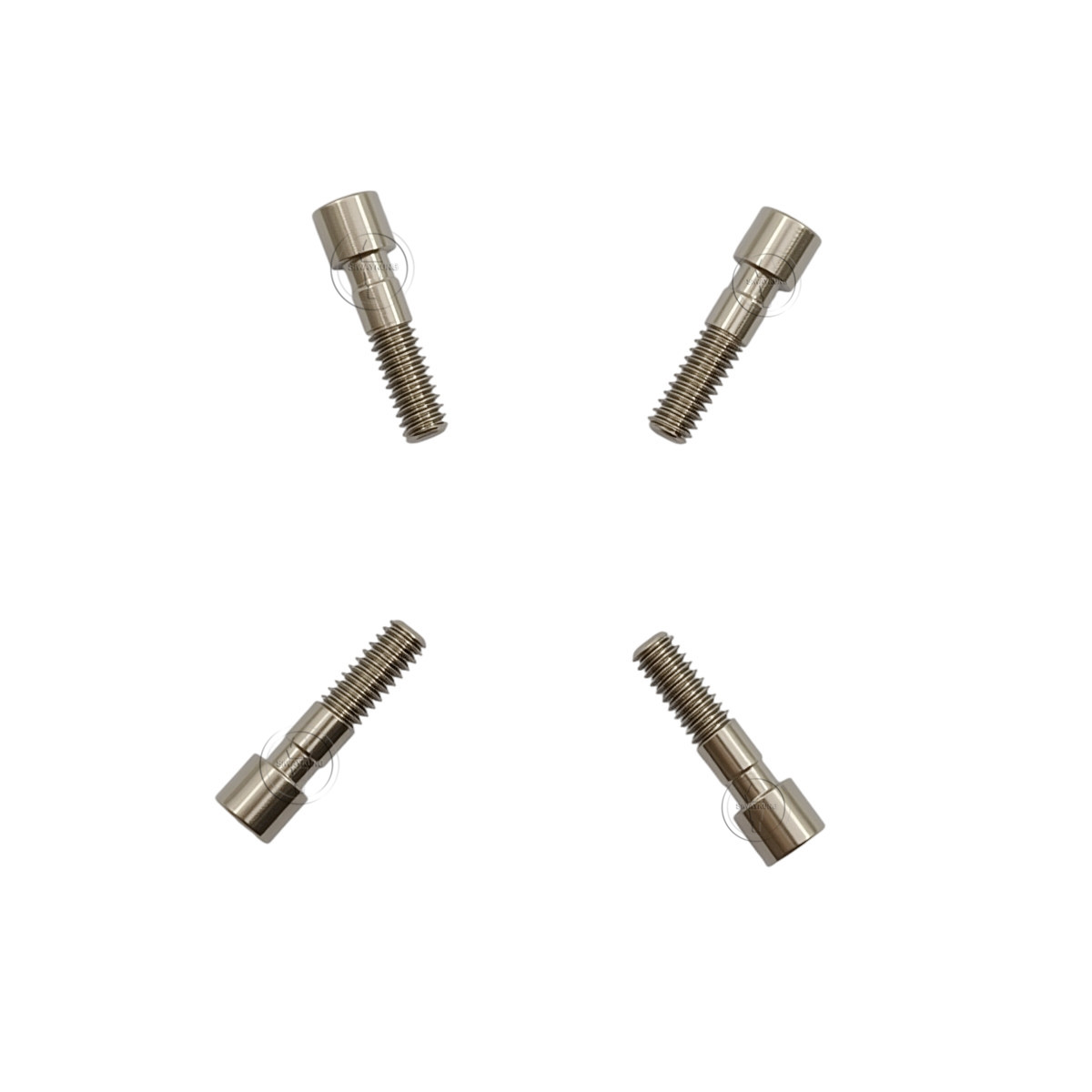 10-100 Pcs Titanium Abutment Screw compatible with C-TECH platform Regular