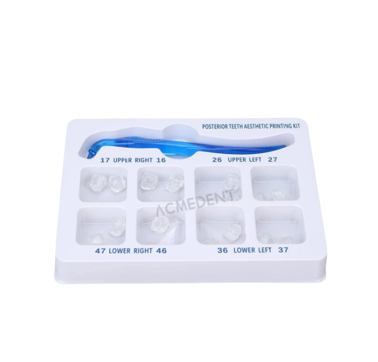 Dental Mould Veneers Posterior Teeth Partner Restoration Composite Resin Kit