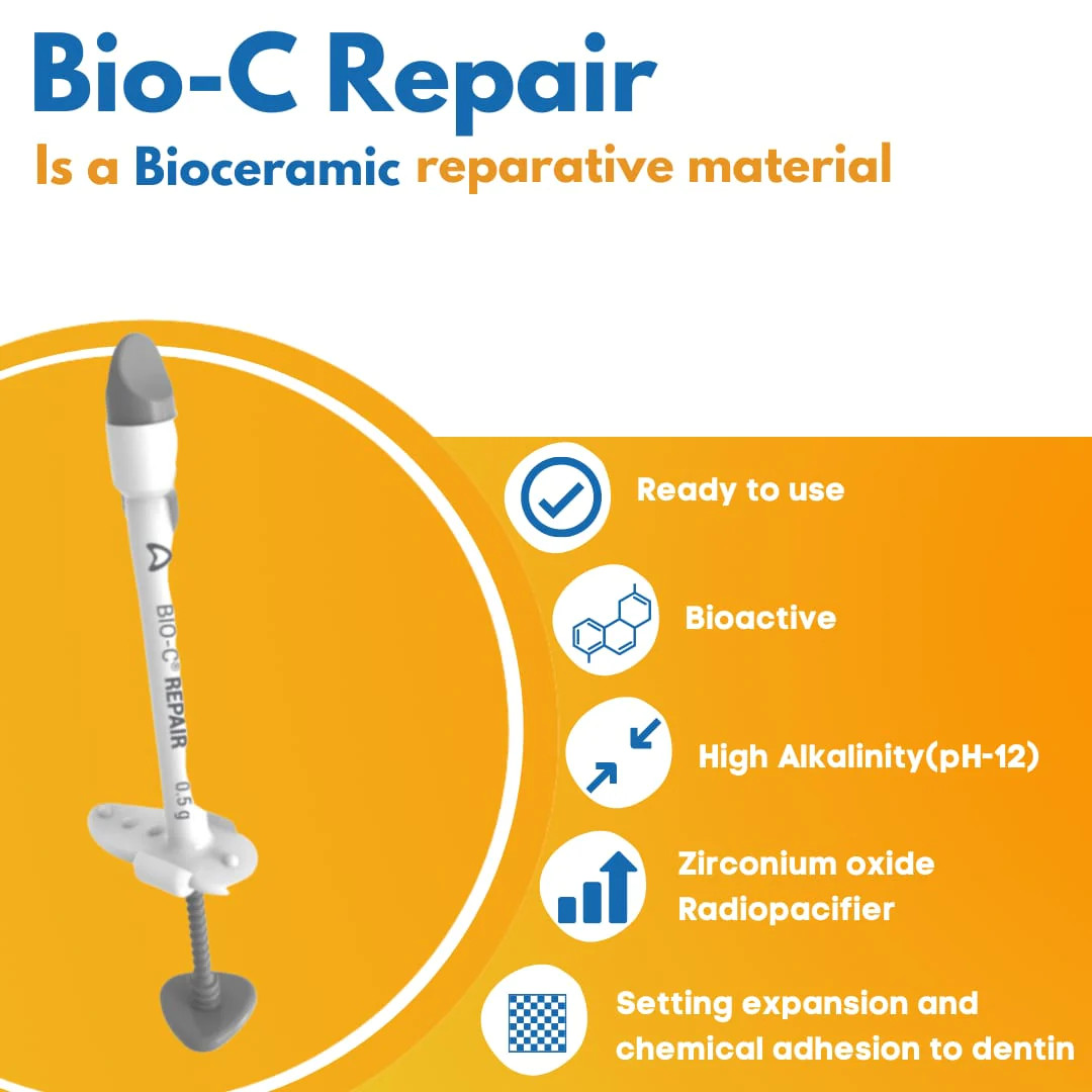 Angelus Bio C Repair Bioceramic Repair Cement for Endodontic Treatment
