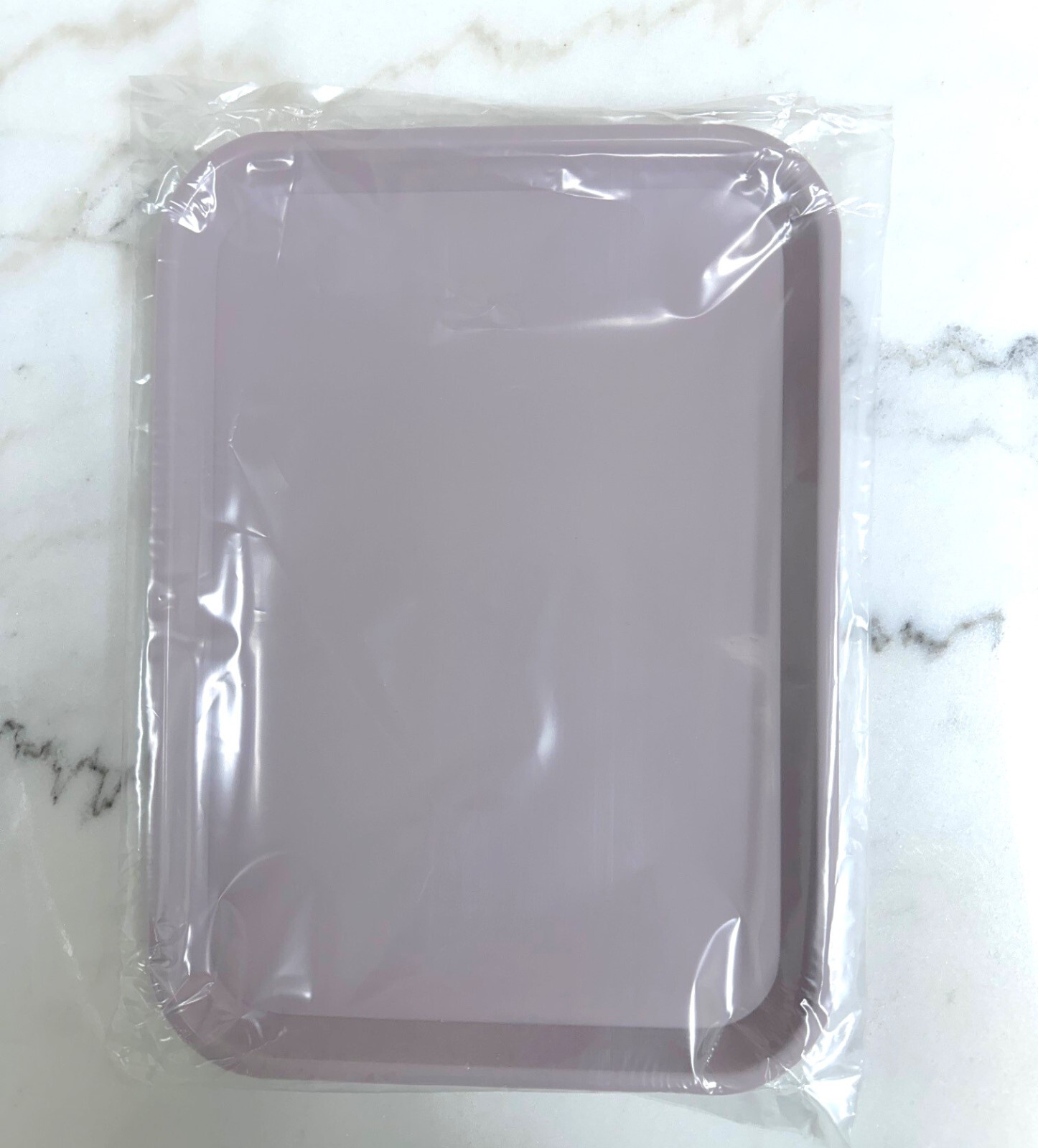 Dental Autoclave Plastic Instrument Set Up Flat Tray Size B (Pick 15 Colors)