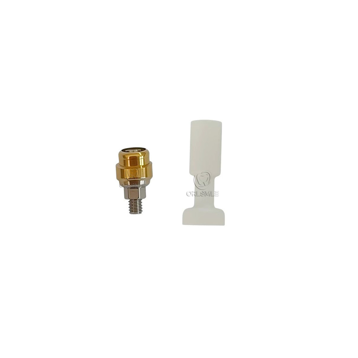 15° Angulated Locator Overdenture Abutment fit to Cortex(Dynamix) GH1.5/3.0mm