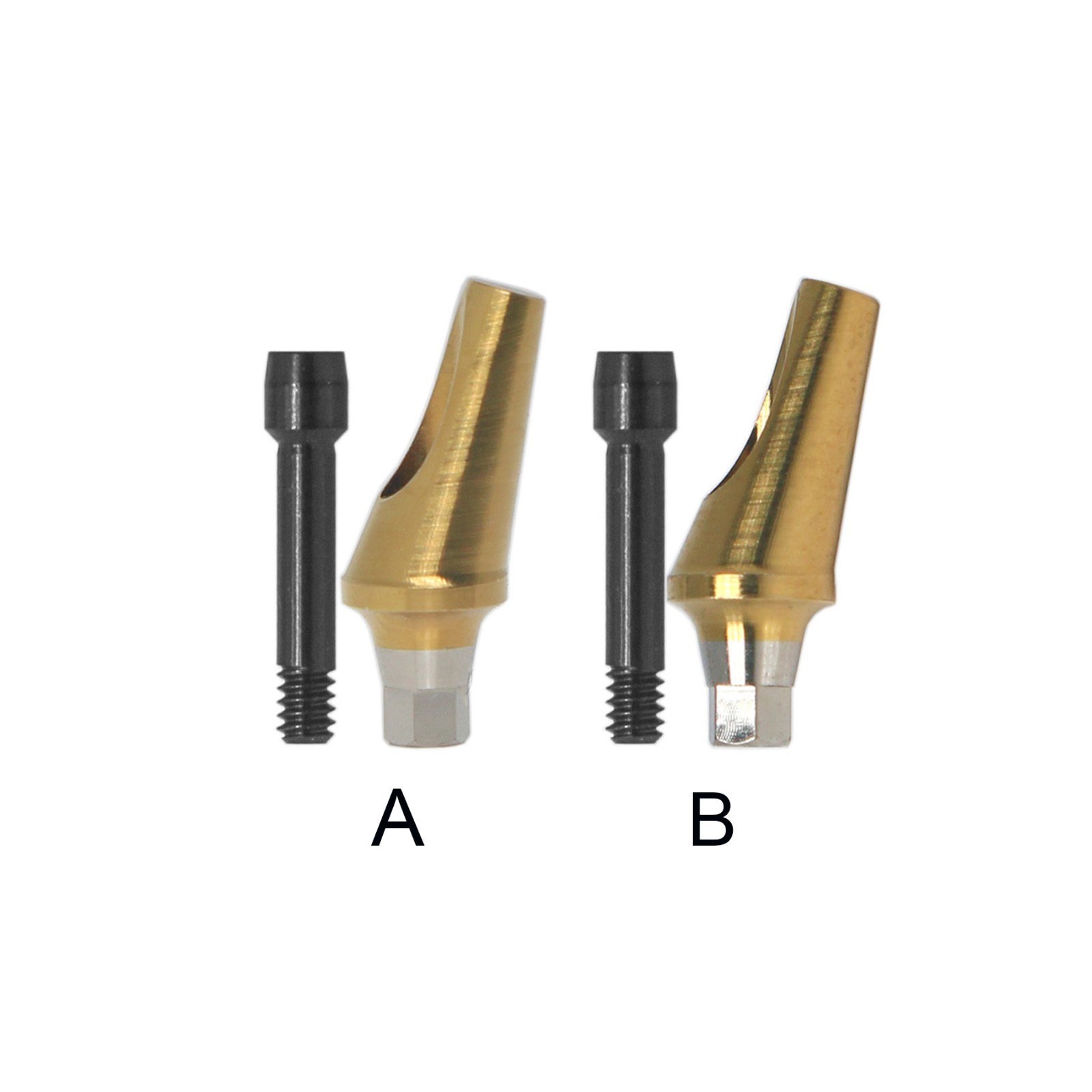 Dental 17° Angled Abutment Anatomic Fits Hiossen Osstem TS Hex Mini Platform