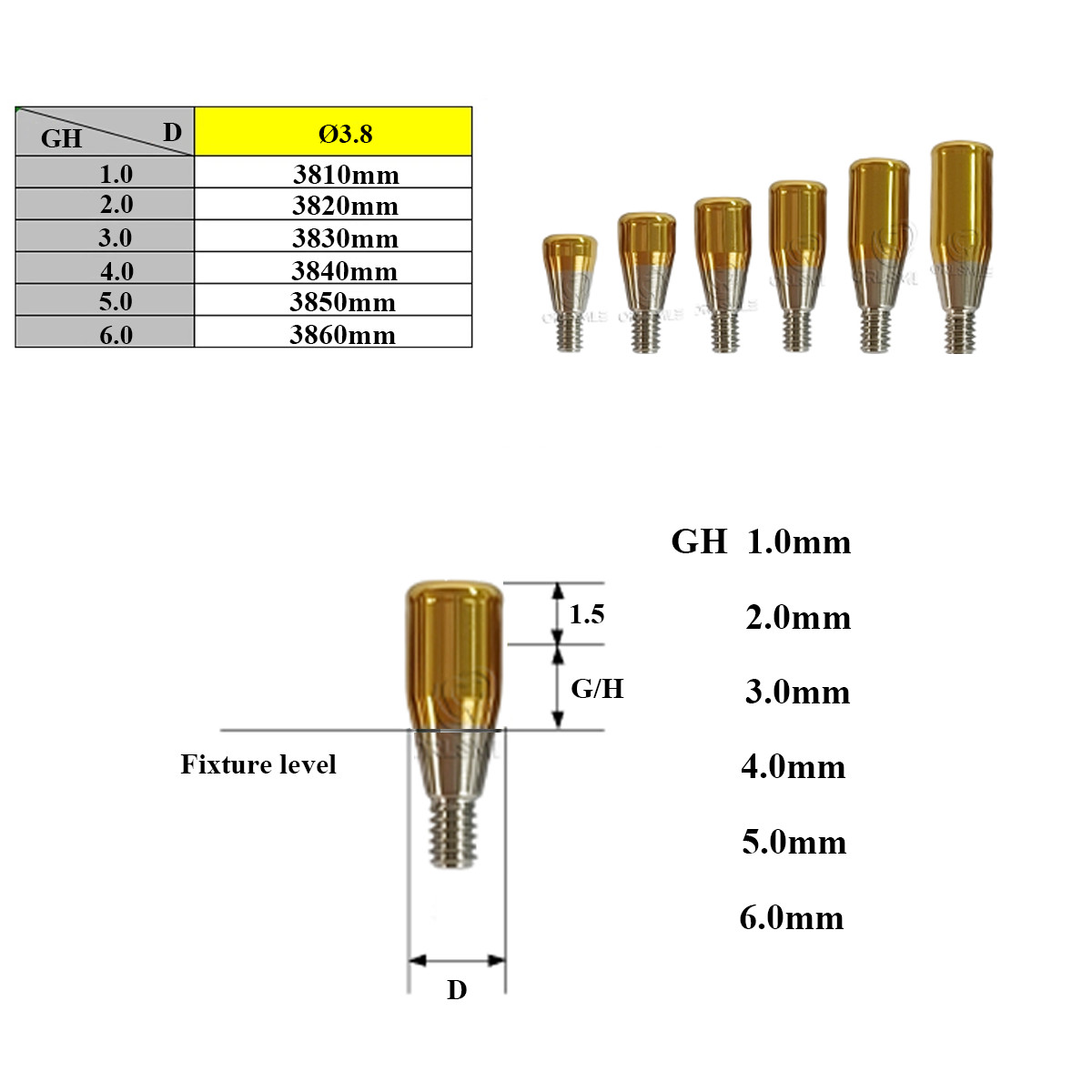Locator abutment with Standard males caps fit to DIO UF II Regular GH1-6