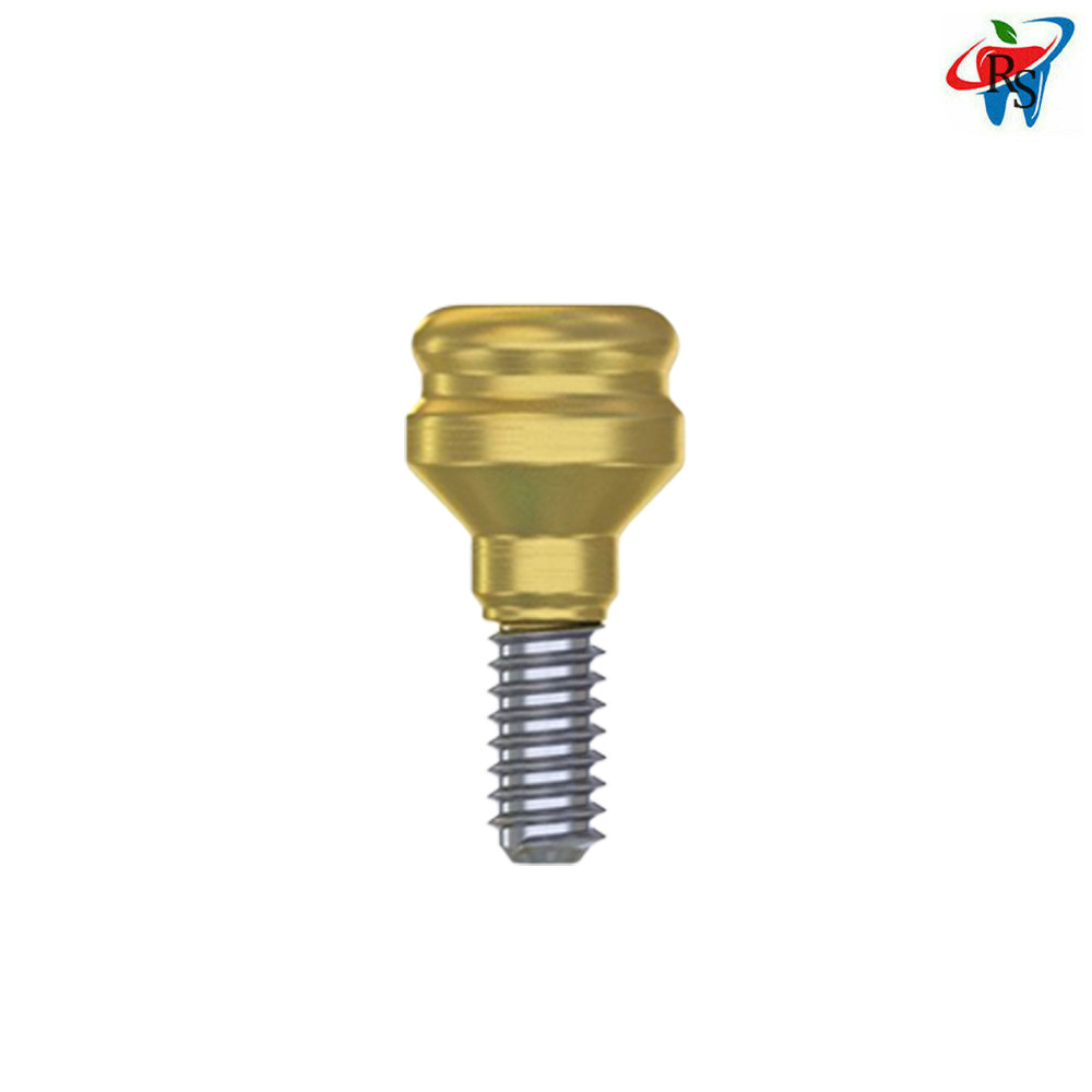10pcs Dental Prosthetic Straight Loc In Attachment Abutment Internal Hex 2.42mm