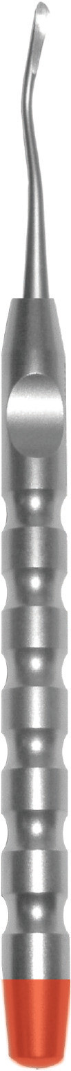 A-Titan X-OTOME DISTAL, SMALL (Dental) (x2)