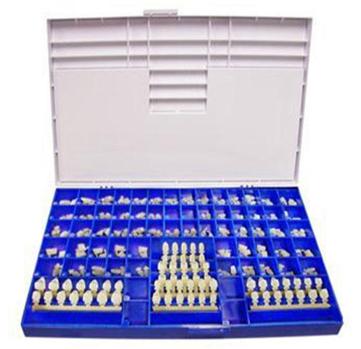 Redland Dental Polycarbonate Crowns Kit 180 Pcs