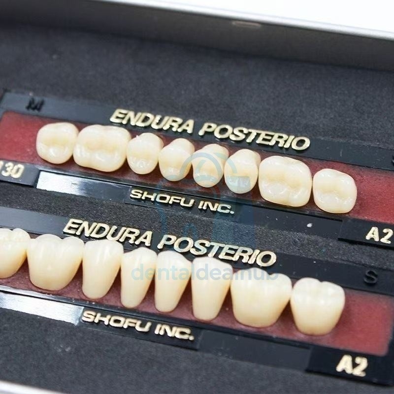 Shofu Endura Composite Resin Teeth Set – Anterior & Posterior Denture Teeth Kit