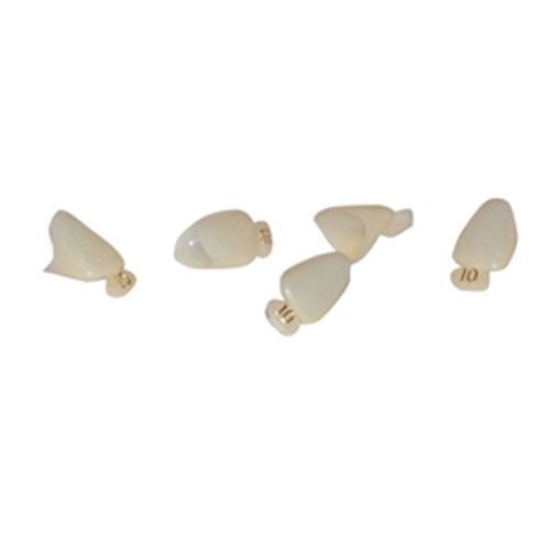 MARK3 #10 Polycarbonate Crown Form, 5/Bx. Upper Right Central. Universal shade