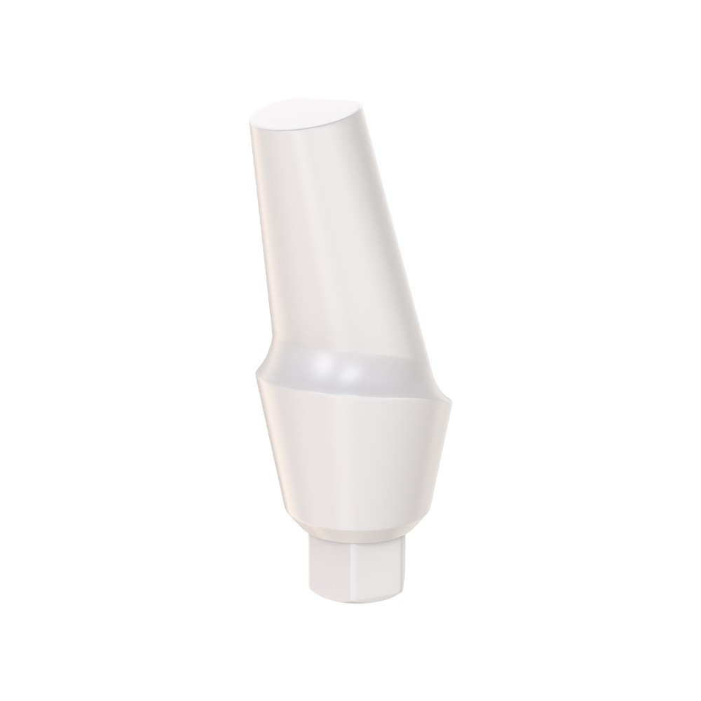 10pcs DSl Angulated Abutments Anatomic Peek With Screws 15° Internal Hex