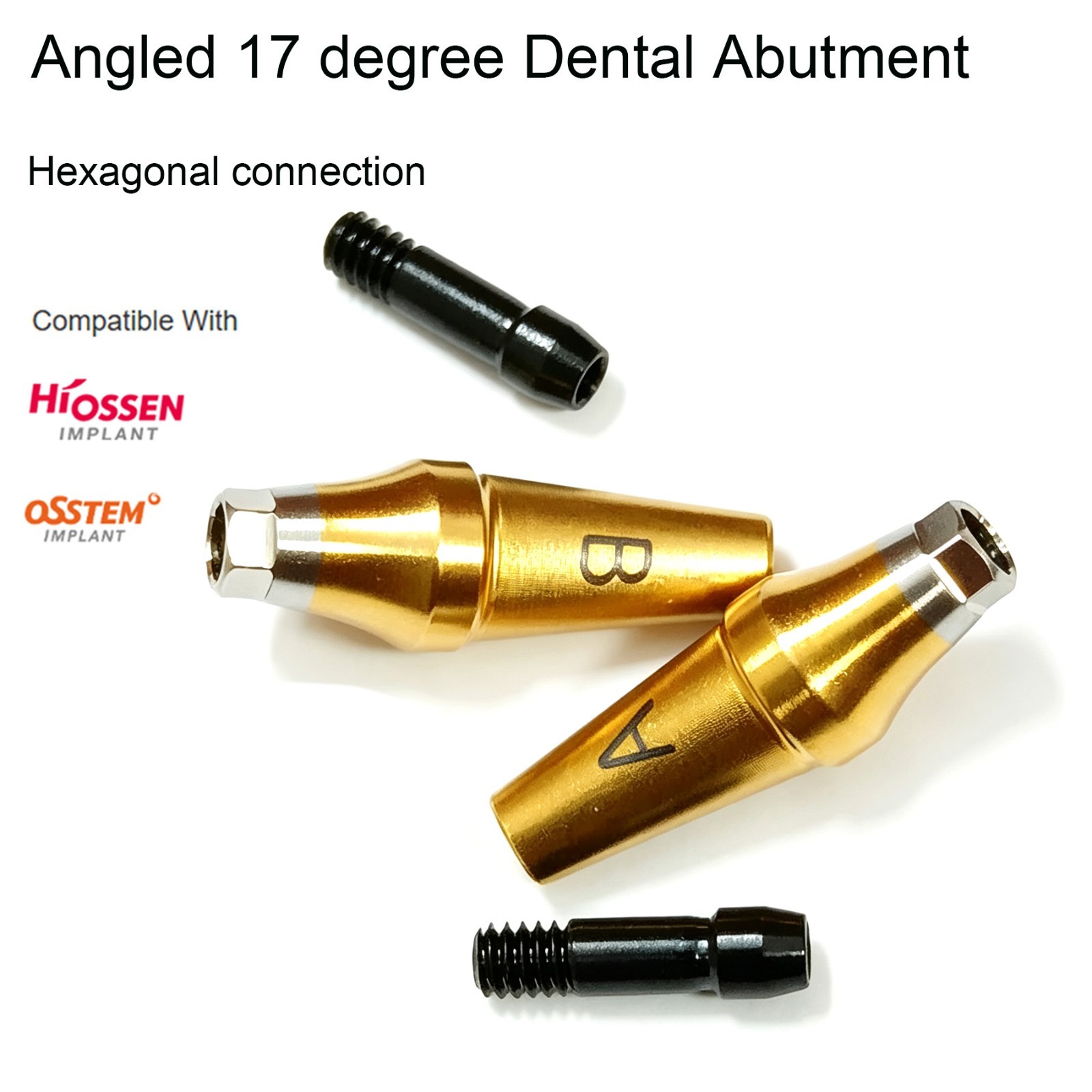 US Hiossen ET Straight & 17° Angled Anatomic Cemented Abutment Mini/Regular Plat