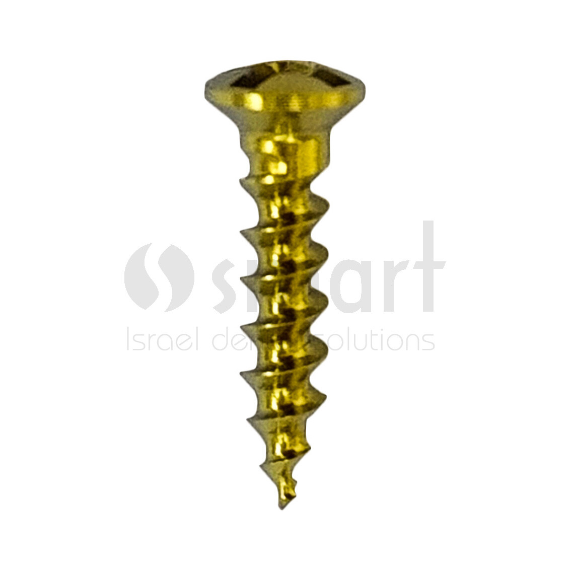 Lot x 5 Screw titanium pin membrane Fixation Bone GBR Ø1.4 L6 tac