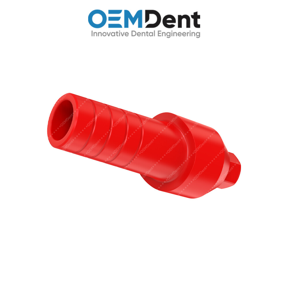 Straight Anatomic Fully Castable Prosthetic – Paltop® Int Hex 2.42mm Compatible