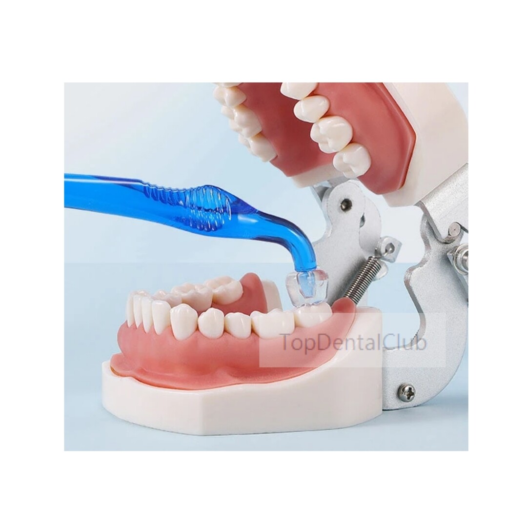 Dental Posterior Teeth Aesthetic Printing Mould Kit Restoration Filling Tools