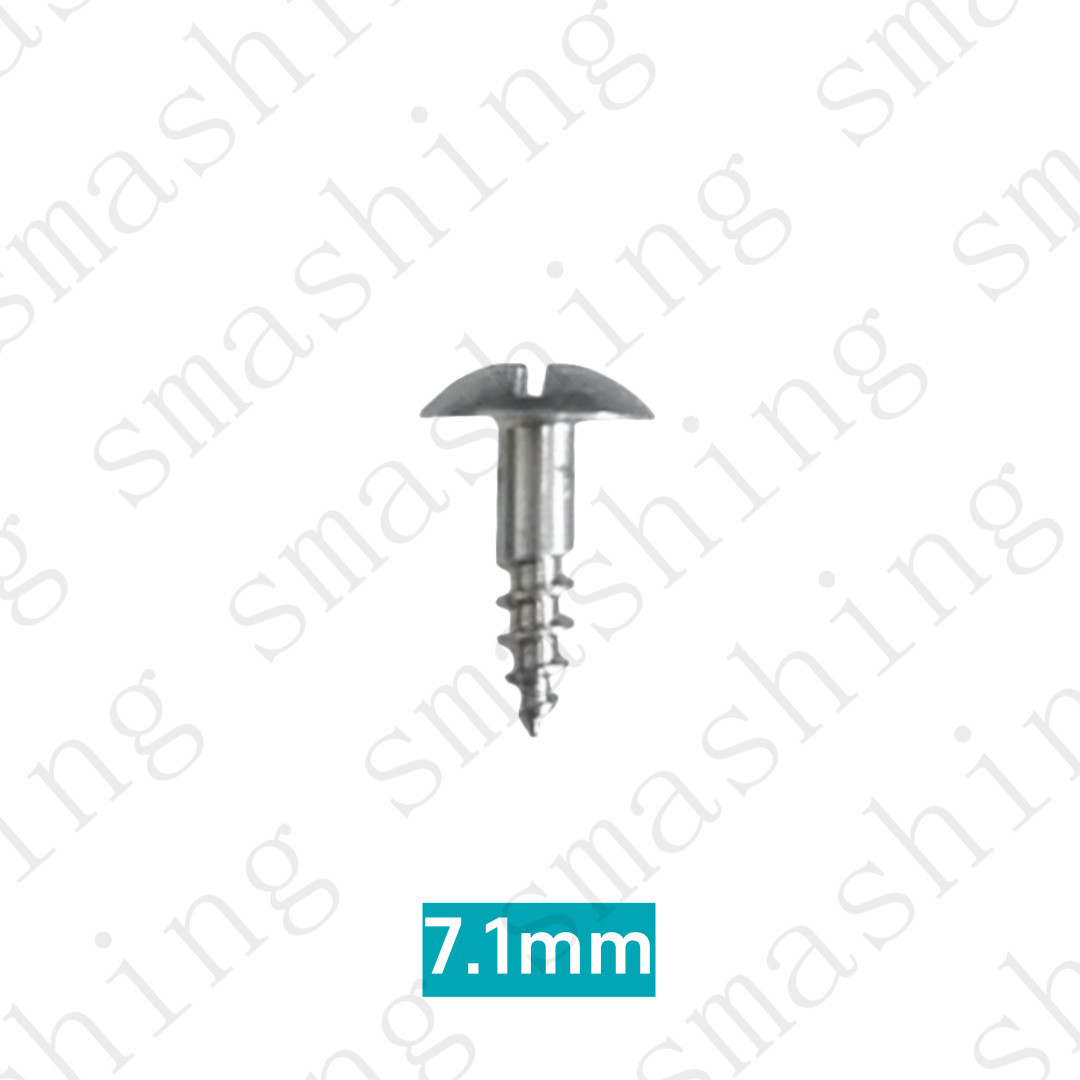 Dental 1.2/1.0 GBR Pilot Drill Advance Path Drills Tent Screws Mini Micro Screw