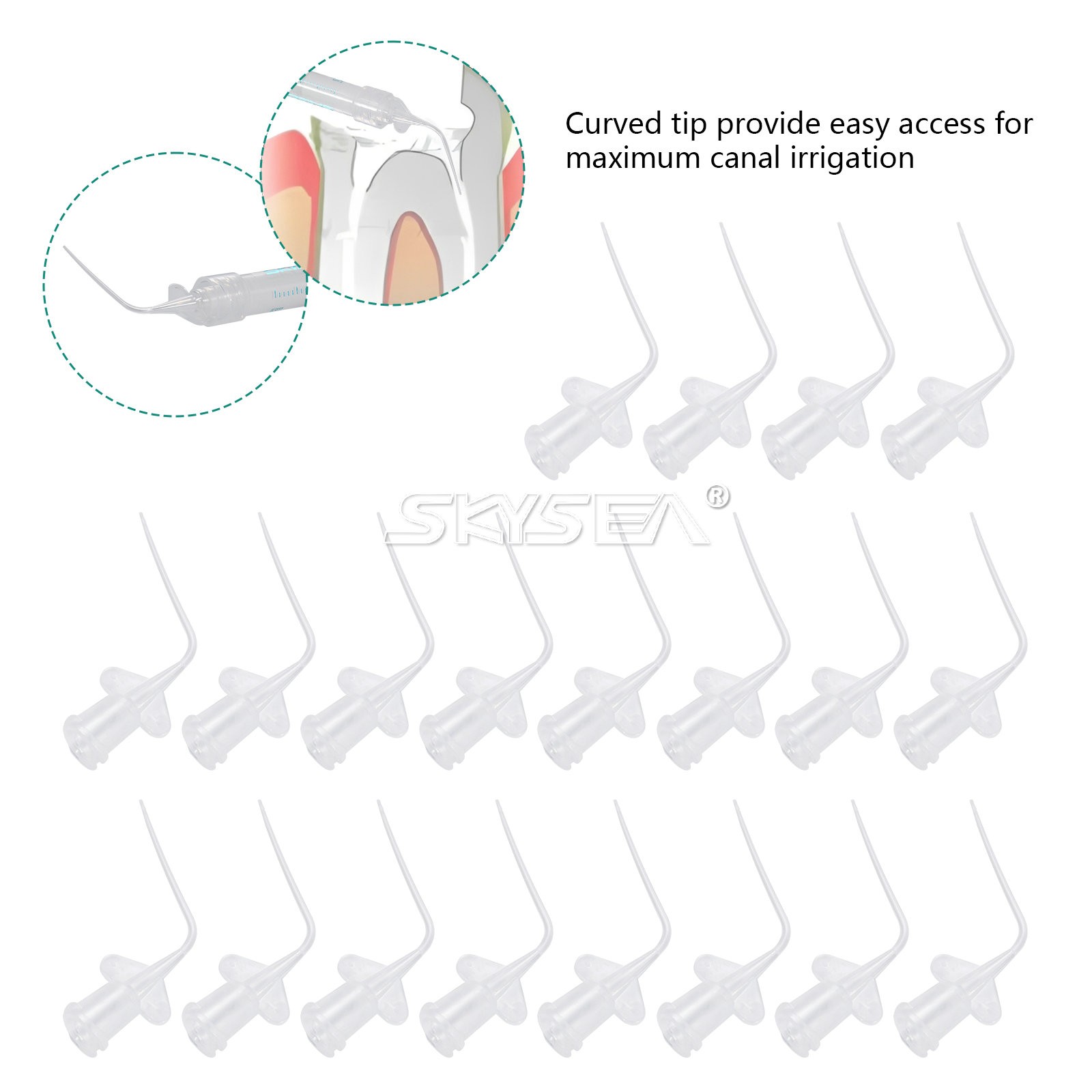 Dental Root canal bioceramic sealer/Repair Root Canal Endo Filling Cement 2g ns