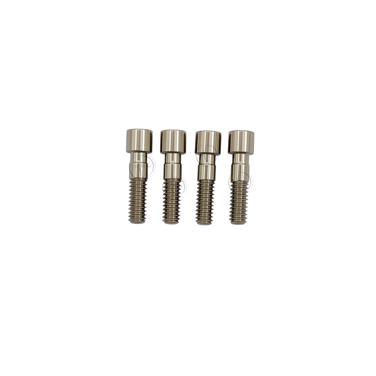 10-100 Pcs Titanium Abutment Screw compatible with C-TECH platform Regular
