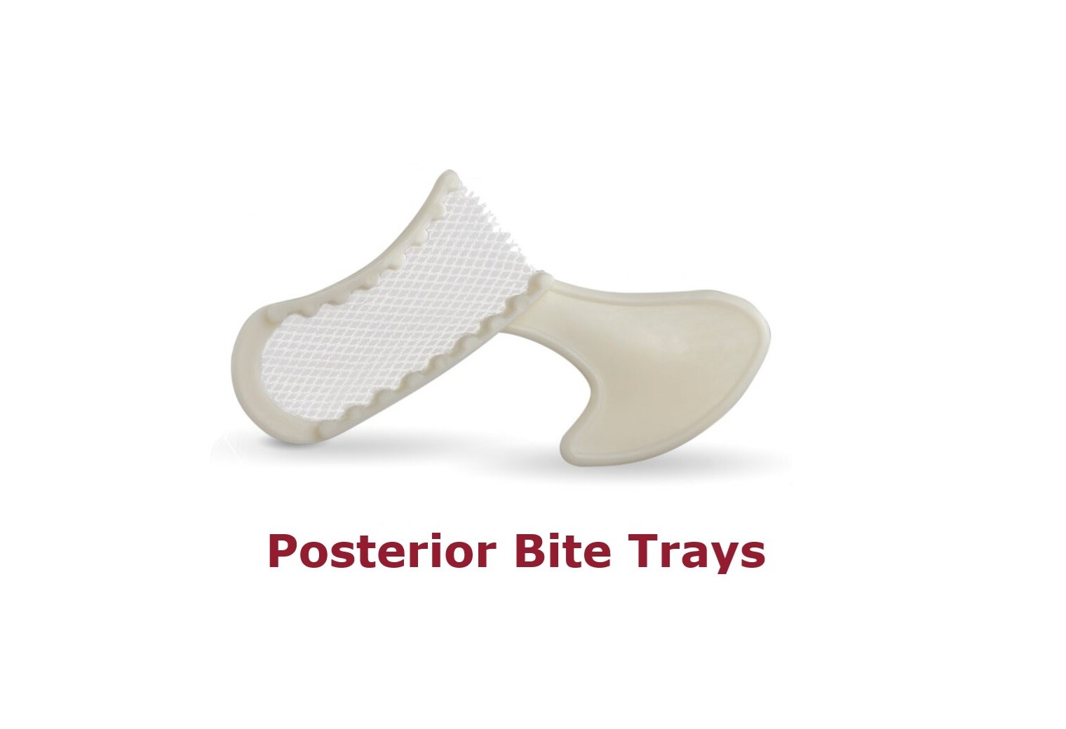 Starryshine Dental Impression Bite Trays Posterior White 50 Pcs/Box