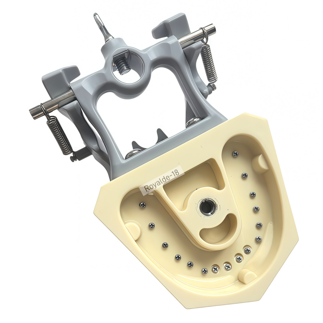 Fit Columbia 860 Dentoform Dental Typodont Model 32 Removable Teeth Soft Gingiva