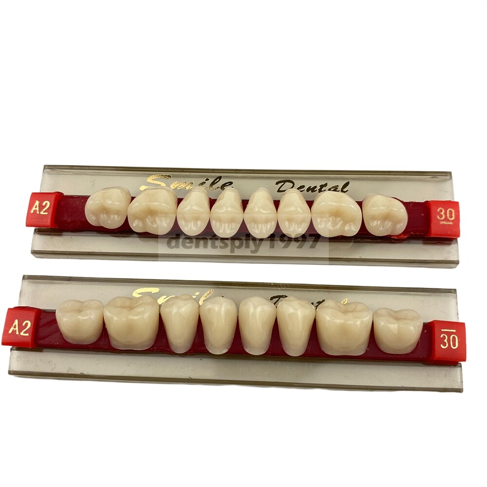 12sets Dental Acrylic Resin Denture Two Layer Posterior False Teeth Upper/Lower