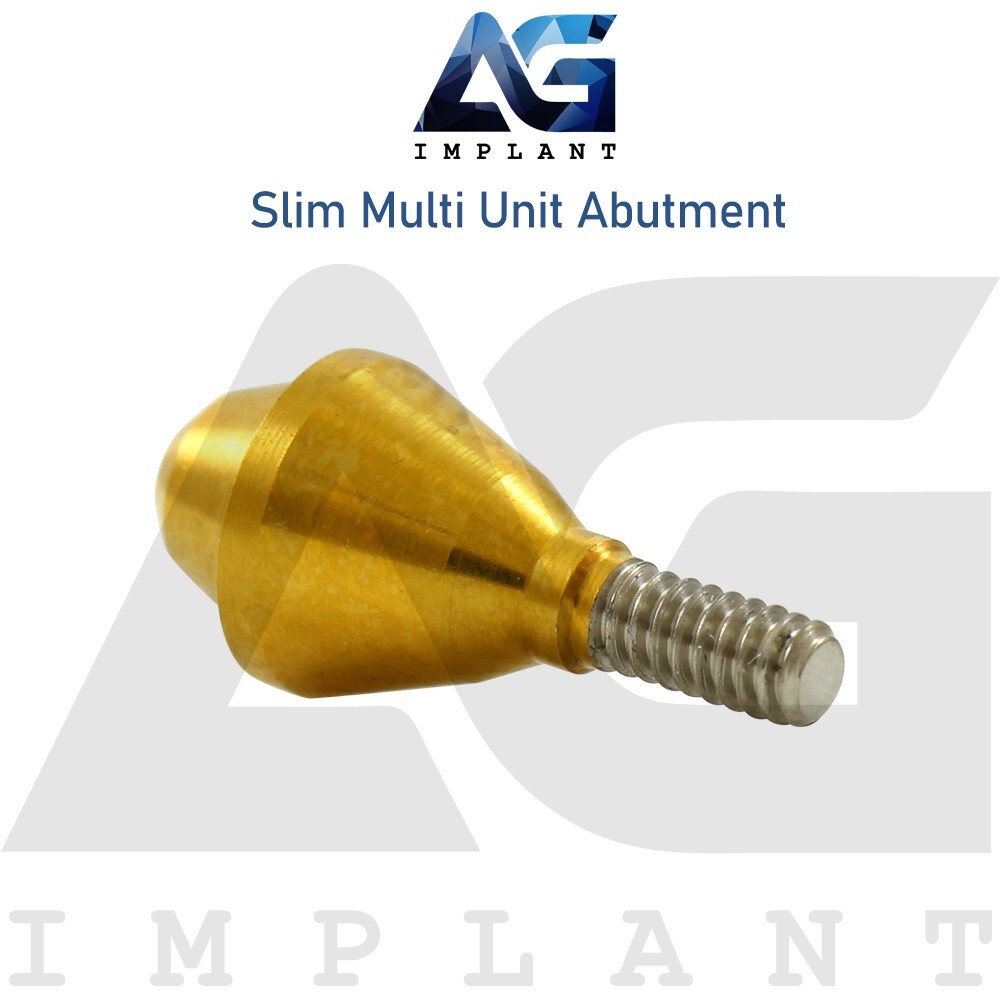 10 Slim Platform Straight Multi Unit 1.6 Prosthetic Titanium Set Internal Hex