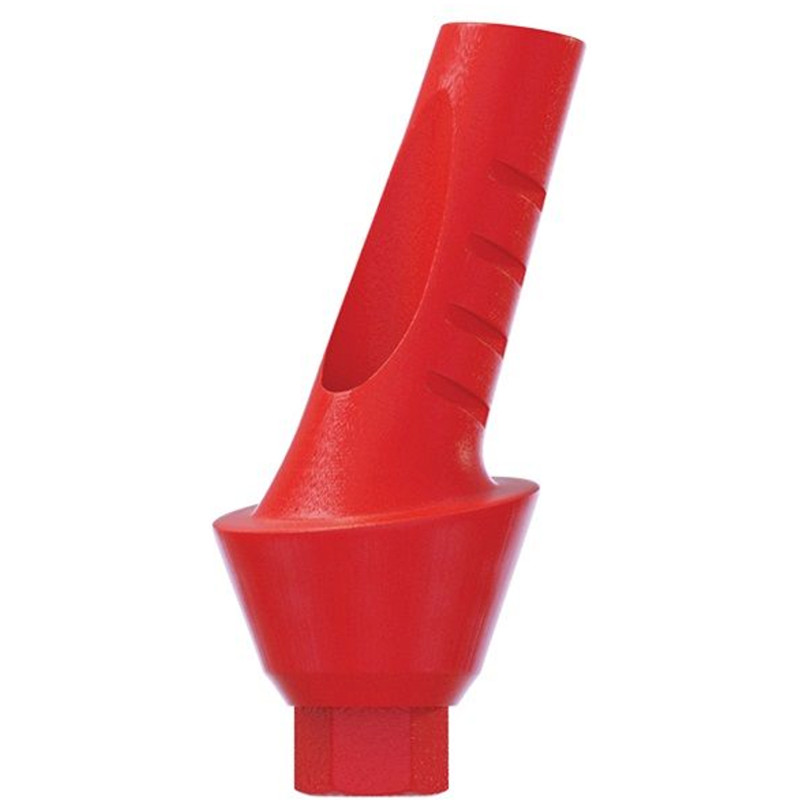 10 Angulated Anatomic Plastic Castable 25° UCLA Prosthetic Int Hex 2.42mm Dental