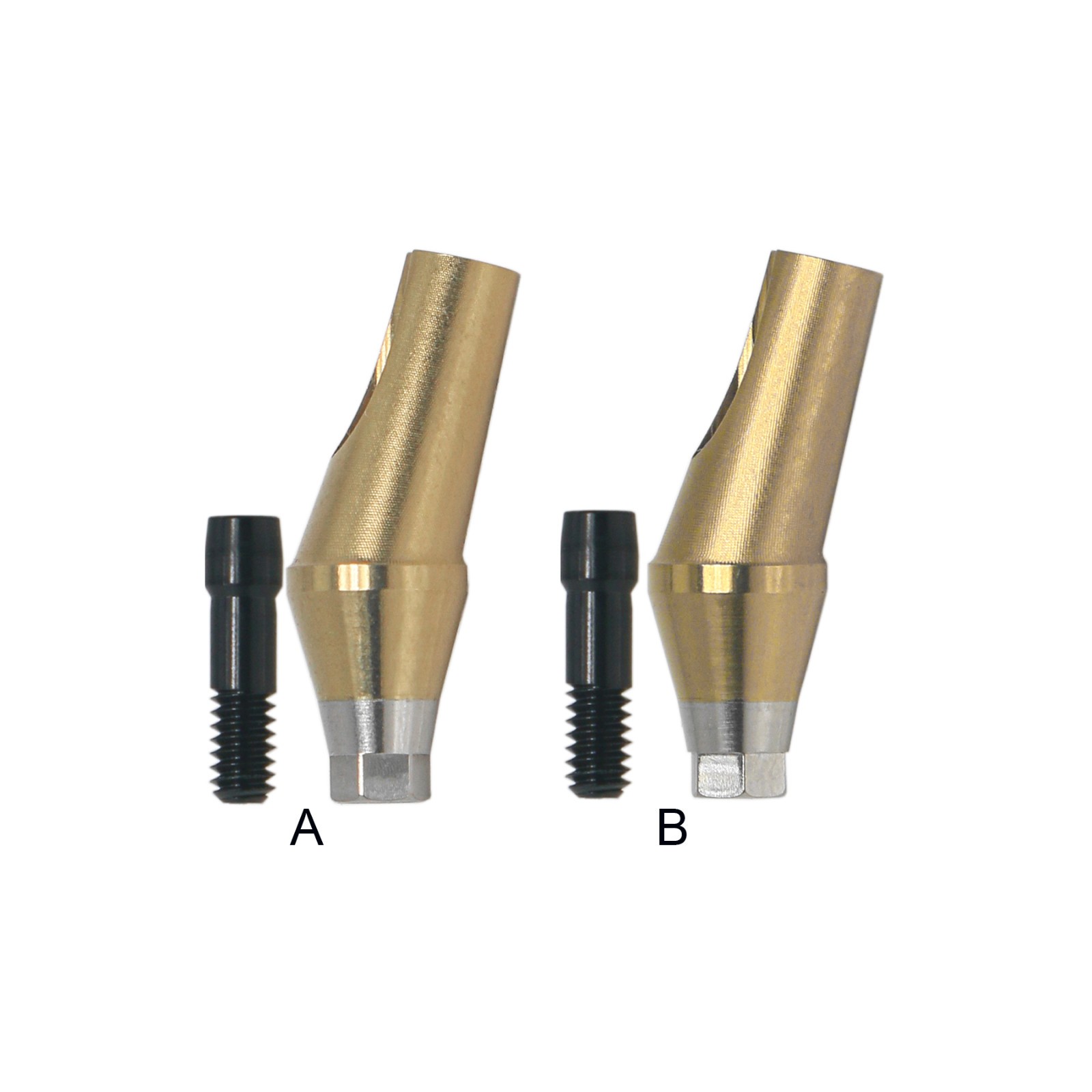 Regular 17°Angulated Angled Anatomic Abutment Osstem Hiossen Implants Ø4.5/5.0mm