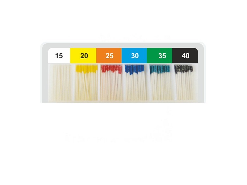Dental Plus Absorbent Paper Points 200PCS