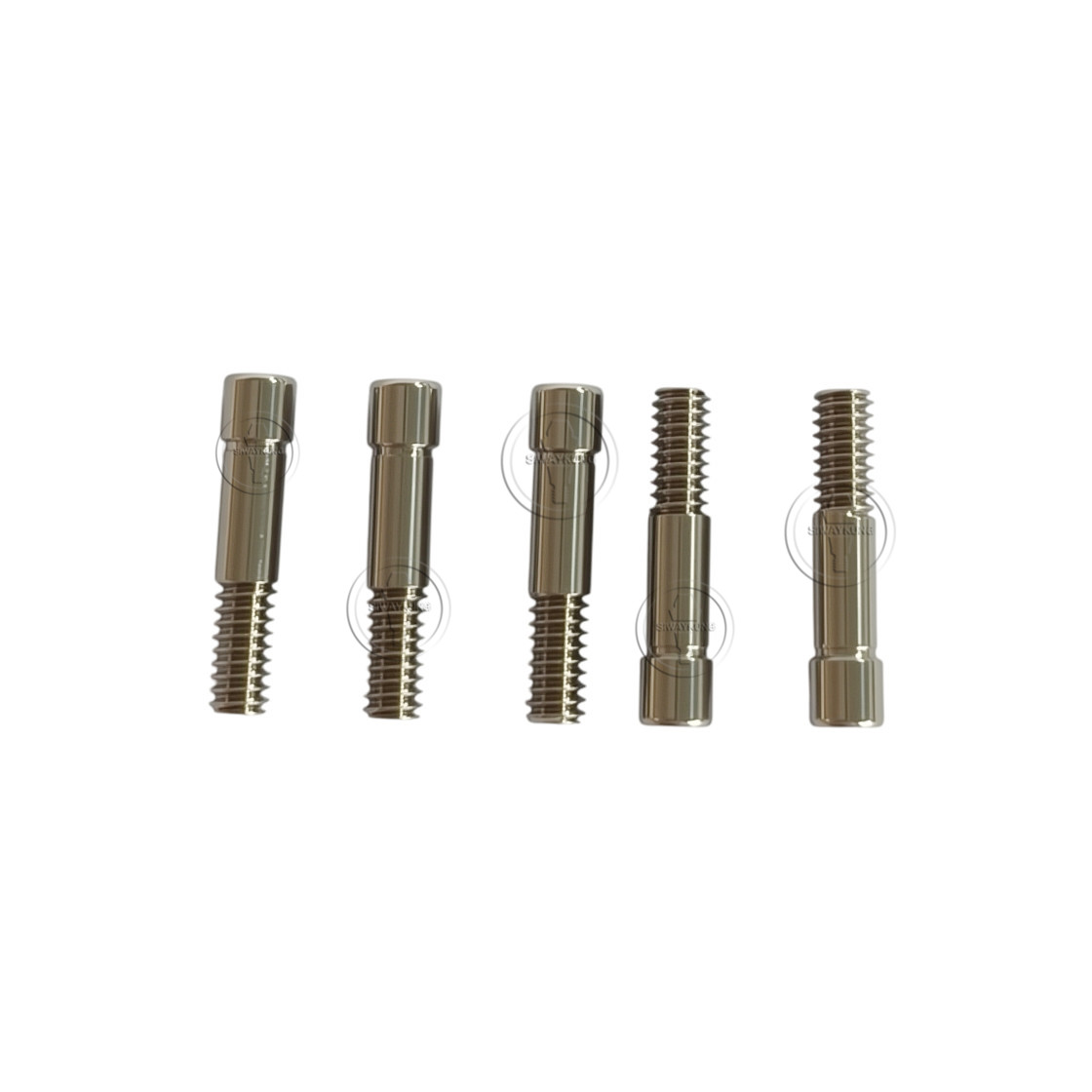 10/20/50/100 Pcs Dental Titanium Abutment Screw Fits Den-tium SuperLine Regular