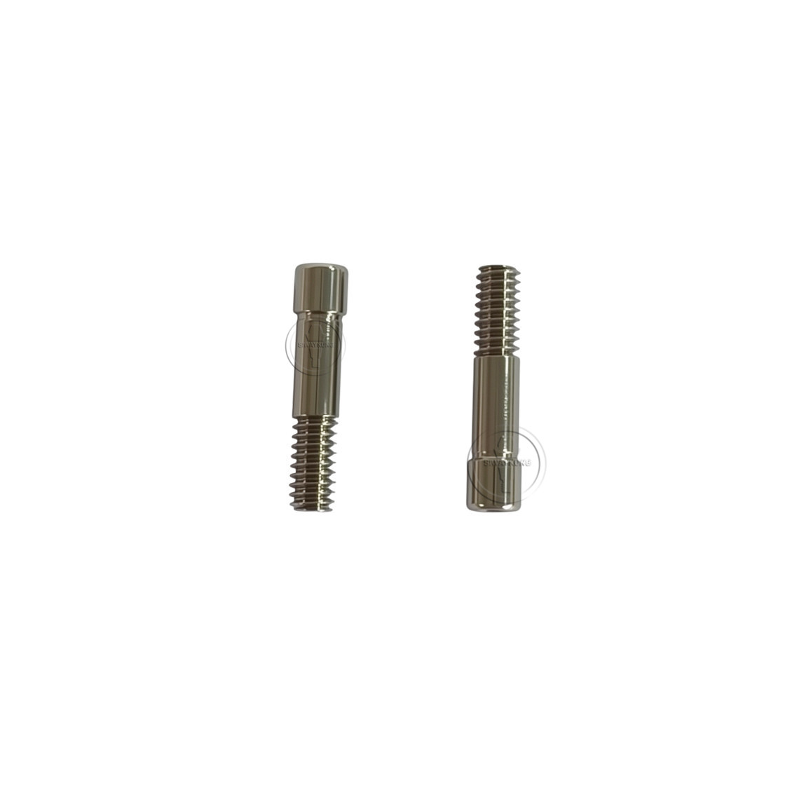 10/20/50/100 Pcs Dental Titanium Abutment Screw Fits Den-tium SuperLine Regular