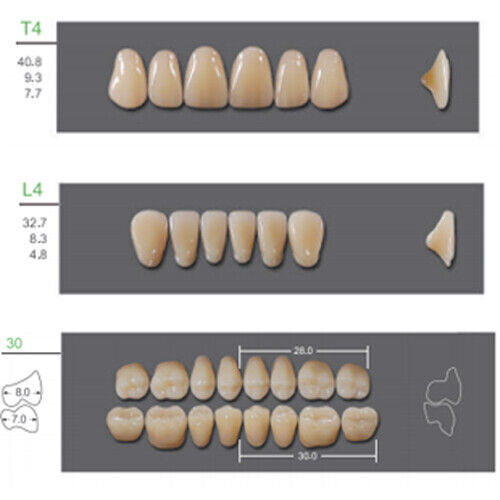 Huge Kaili Synthetic Polymer False Teeth Shade A3.5 Full Set: 28 teeth/set 4 set