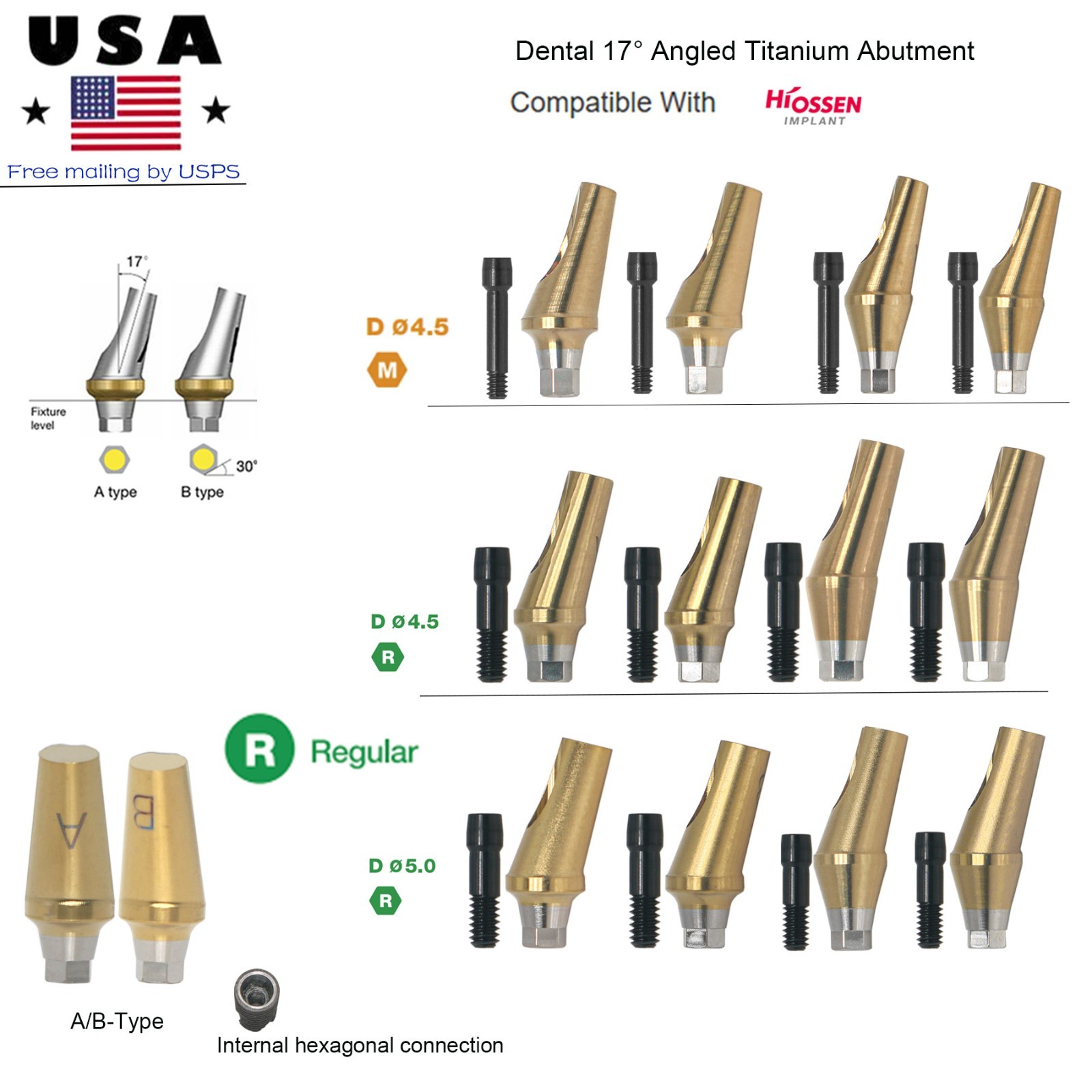 US Hiossen ET Straight & 17° Angled Anatomic Cemented Abutment Mini/Regular Plat