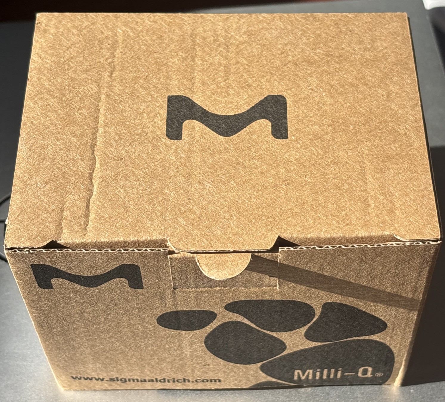Millipore Millipak Express 40 Filter 0.22 micron, REF: MPGP04001 Brand New