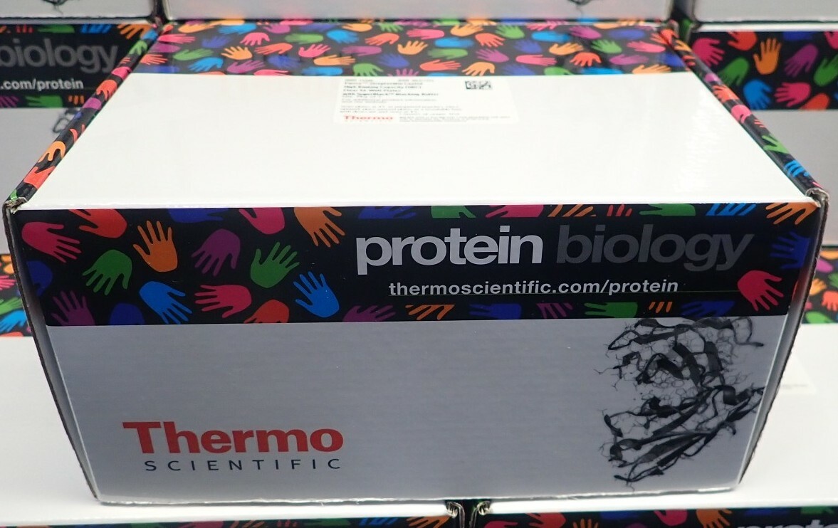 Thermo Scientific Clear 96-Well Pierce Streptavidin Coated HBC (pkg5) 15500