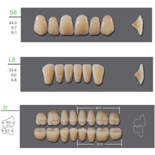 Huge Kaili Synthetic Polymer False Teeth Shade A3.5 Full Set: 28 teeth/set 4 set