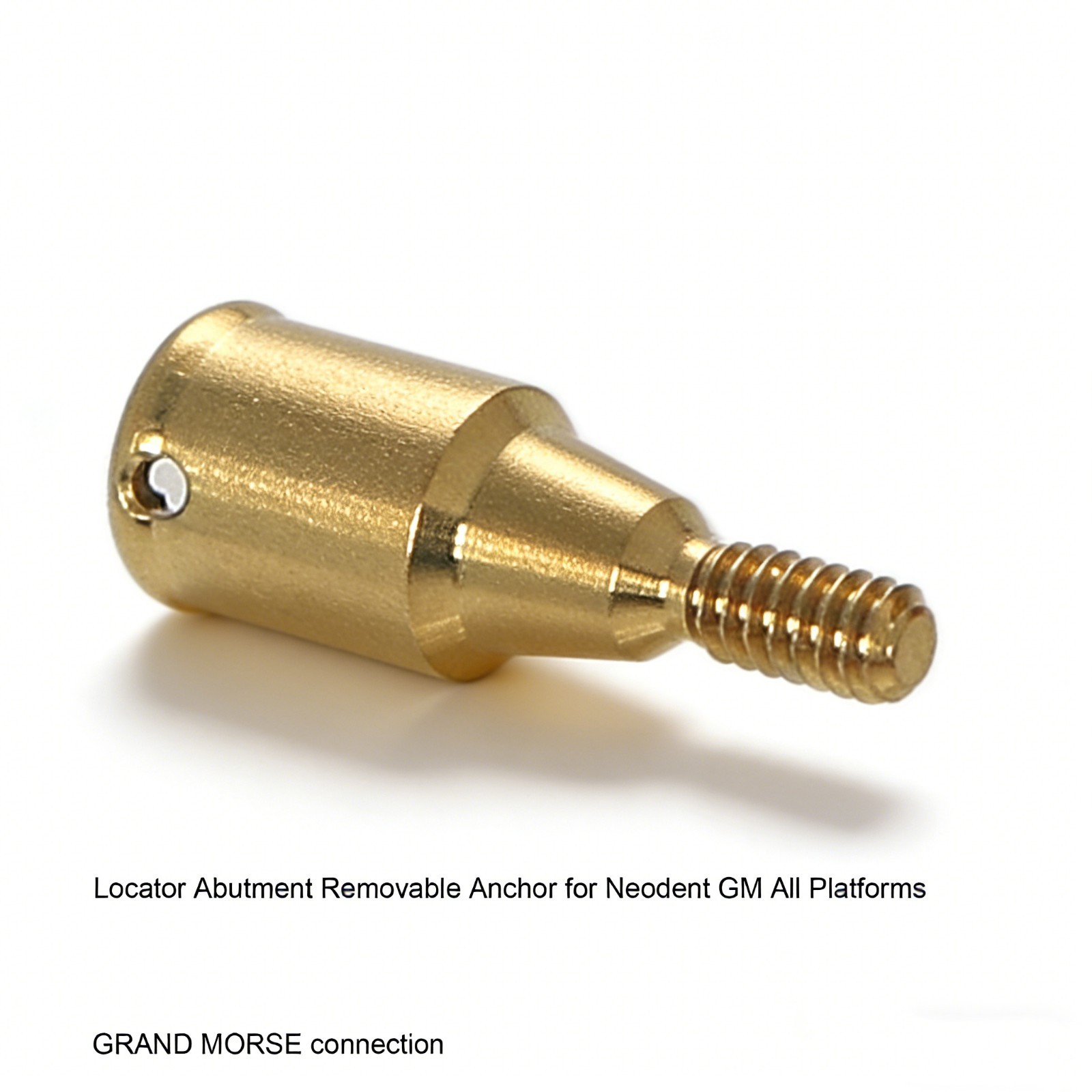 Neodent GM Overdenture Abutment GRAND MORSE connection Zest Locator Males Insert