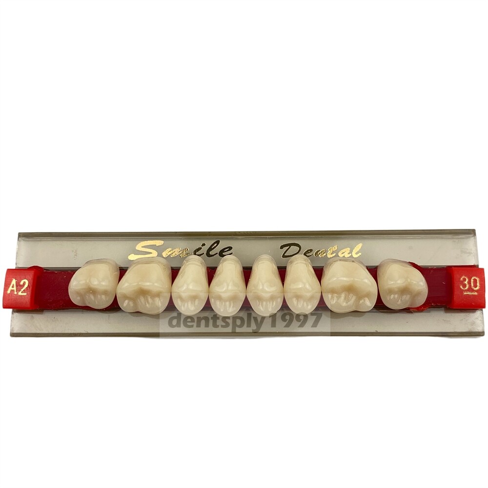 12sets Dental Acrylic Resin Denture Two Layer Posterior False Teeth Upper/Lower