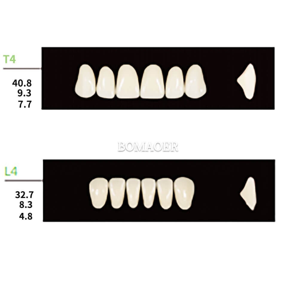 Dental Synthetic Polymer Resin False Teeth Denture 112PCS/Pack T4 L4 30 Shade B1