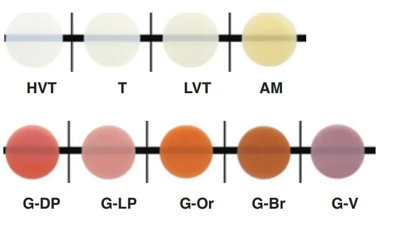 Shofu BeautifIl II Enamel & Gingiva Composites