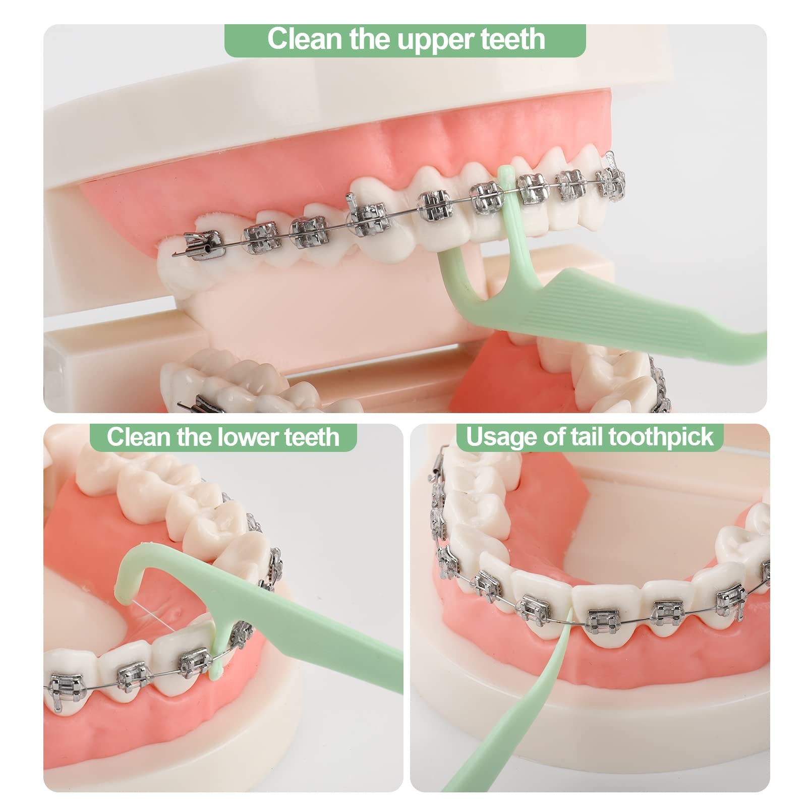 150 Count Orthodontic Flossers for Braces with 1 (Pack of 150), Green