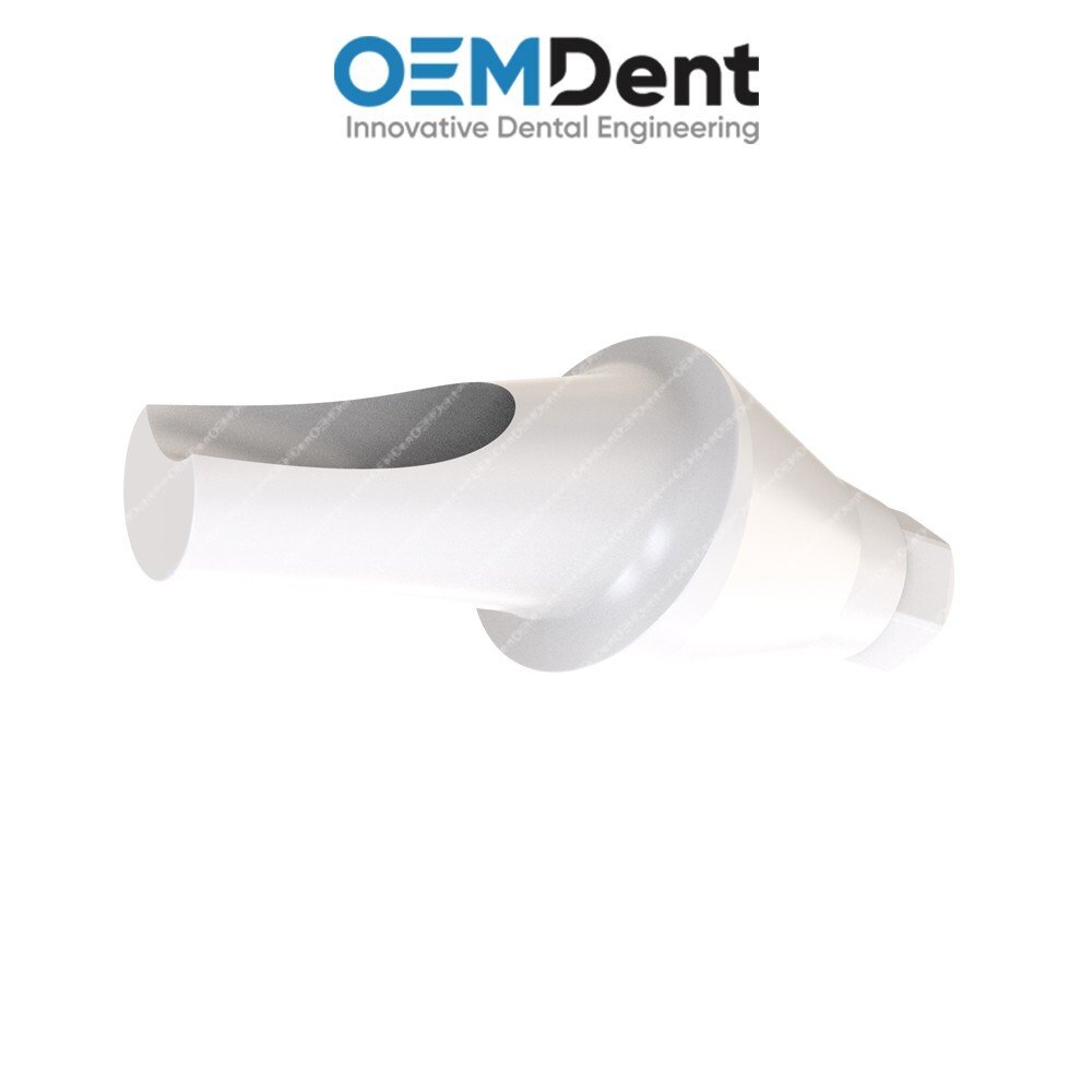Peek Temporary Anatomic Angled Prosthetics 15° Compatible DSI® RP Conical