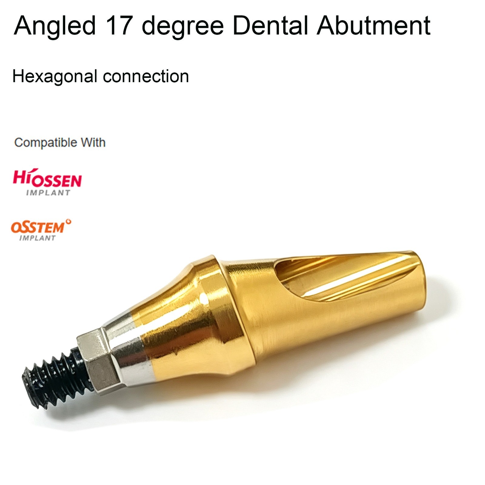 US Hiossen ET Straight & 17° Angled Anatomic Cemented Abutment Mini/Regular Plat