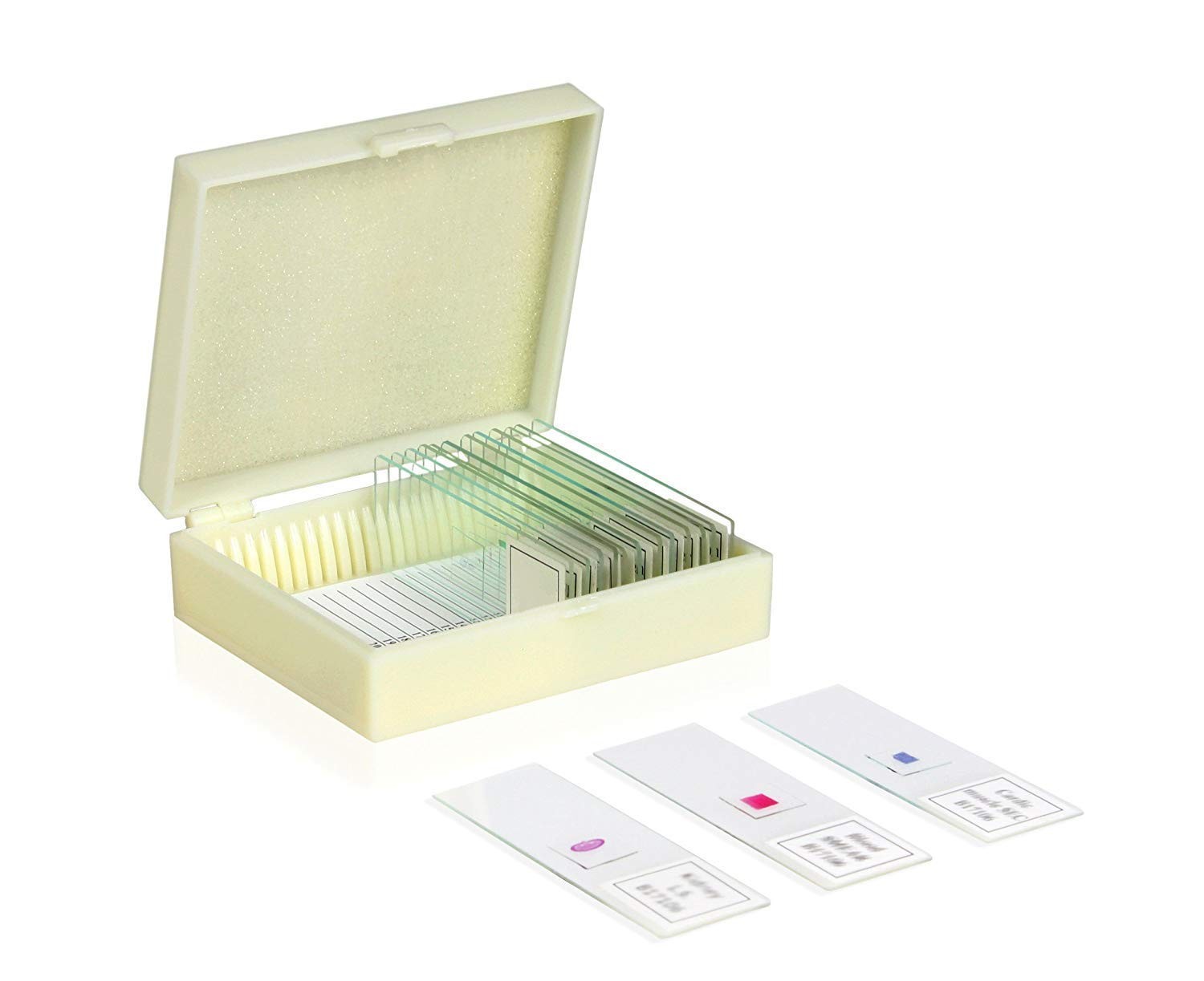 Vision Scientific VSH127 Prepared Slide Set – Hair Type (Set of 9) |…