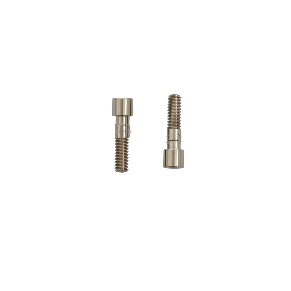 10-100 Pcs Titanium Abutment Screw compatible with C-TECH platform Regular