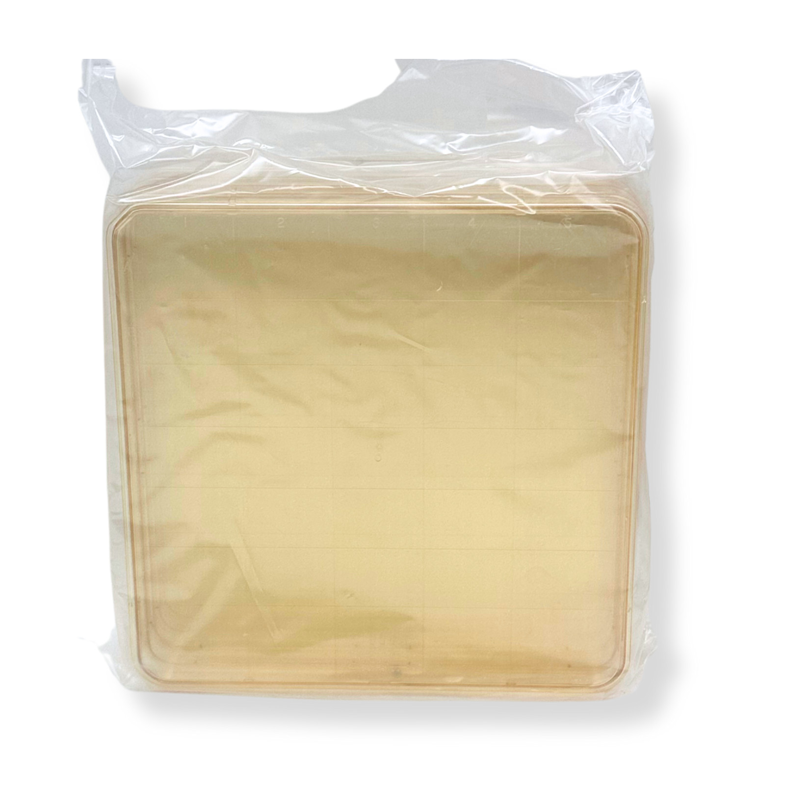 5pk Square BioAssay Dishes 241x20mm w/ Lids, Gridded, Clear | BD Falcon & NUNC