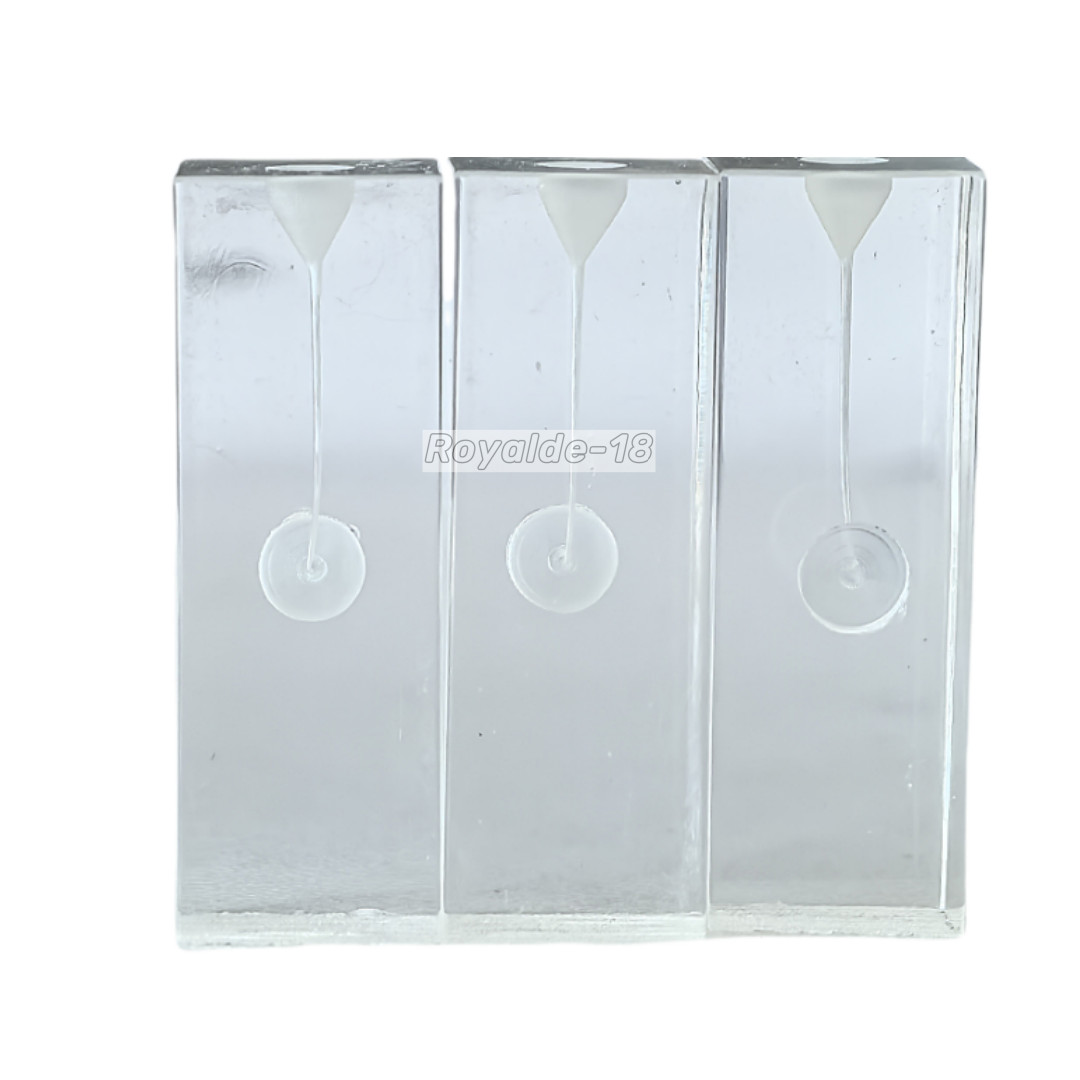 10Pcs Dental Blocks Files Practice Root Canal Replicas Student Practise File RCT