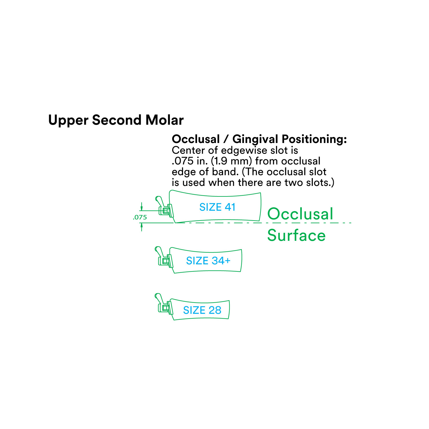J&J Ortho™ Orthodontic #7 Second Molar Band Quadrant (4/pk) Optional Size