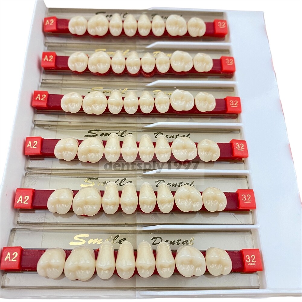 12sets Dental Acrylic Resin Denture Two Layer Posterior False Teeth Upper/Lower