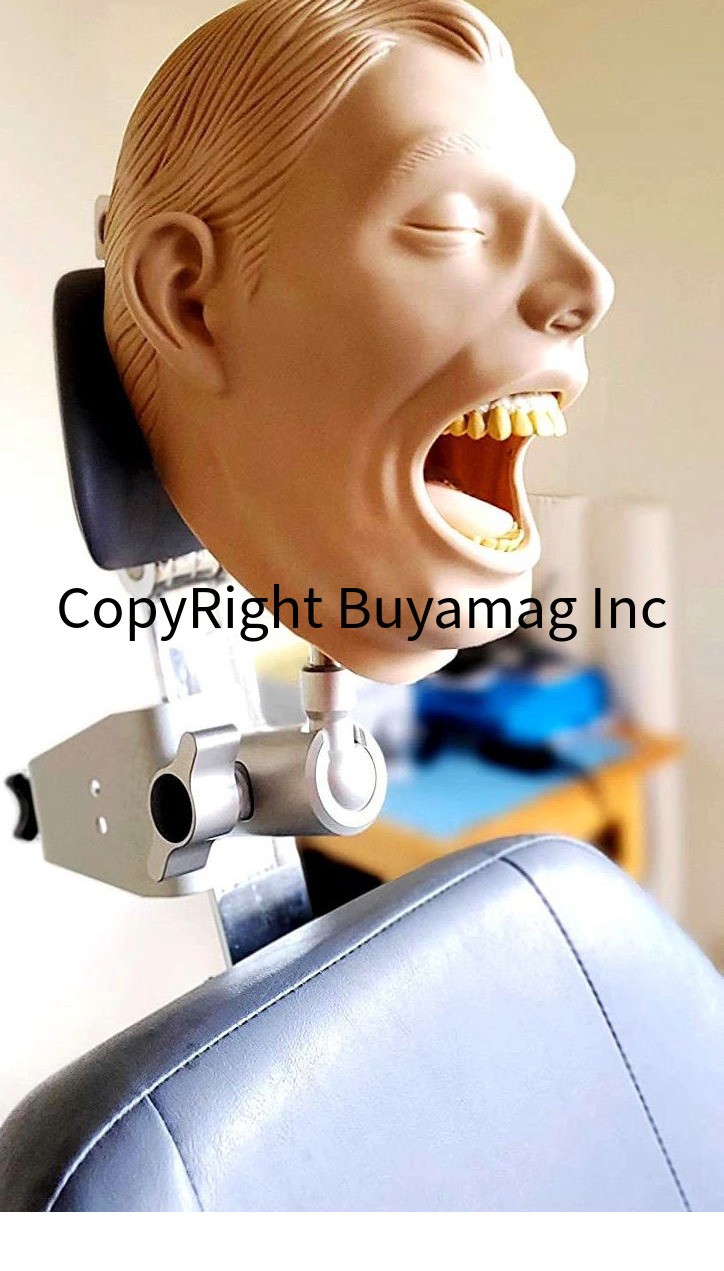 Dental Teeth X-Ray MANIKIN Practice Exam Simulator Training Model Teach Phantom
