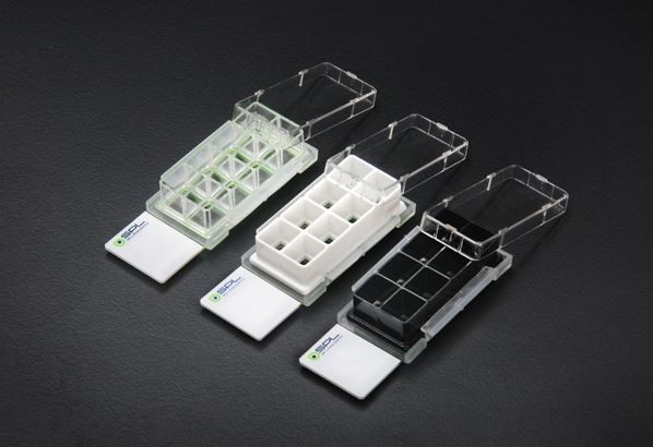 SPL Cell Culture Chamber slide, 8 wells, Dlux slide, Clear PS frame, 12/Case